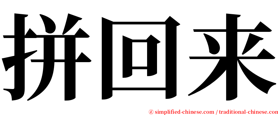 拼回来 serif font