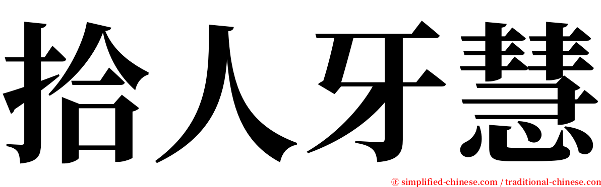 拾人牙慧 serif font