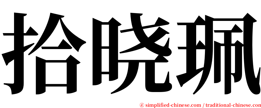 拾晓珮 serif font