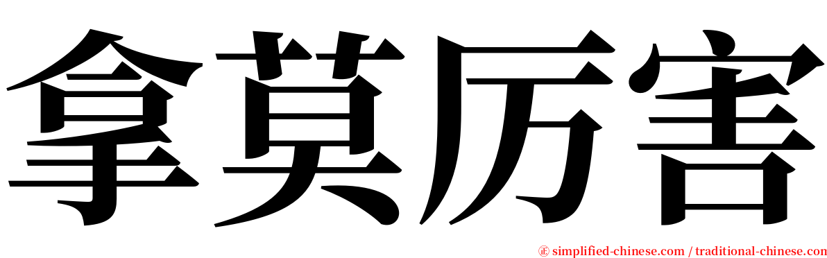 拿莫厉害 serif font