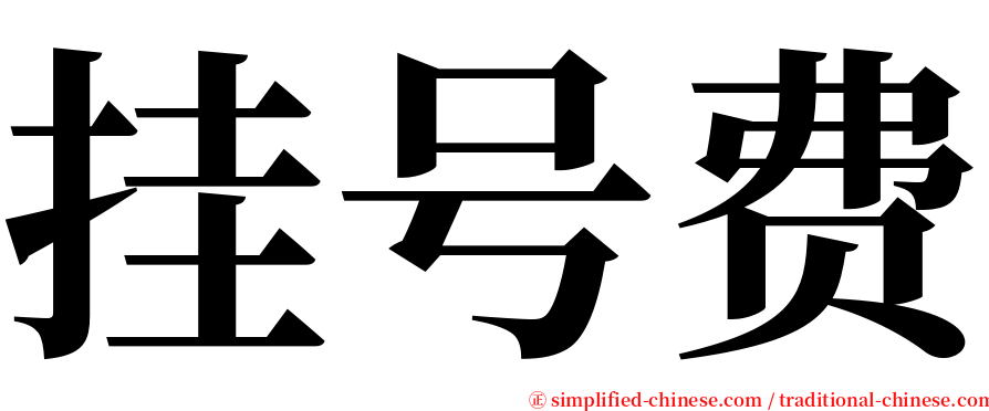 挂号费 serif font