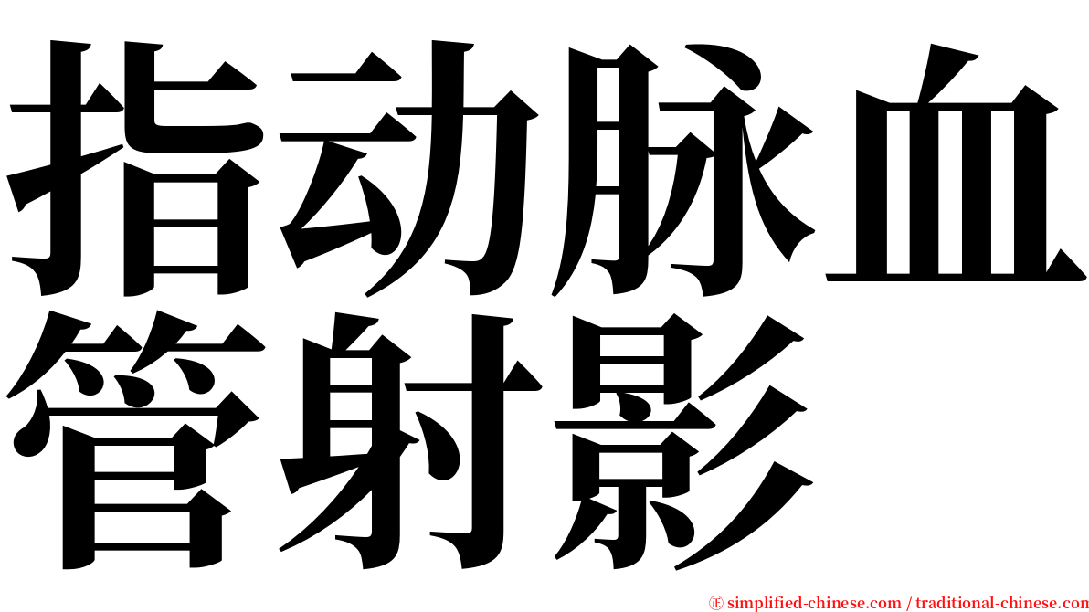 指动脉血管射影 serif font