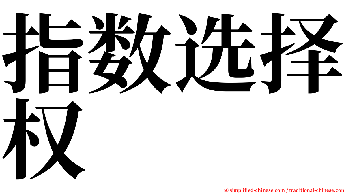 指数选择权 serif font