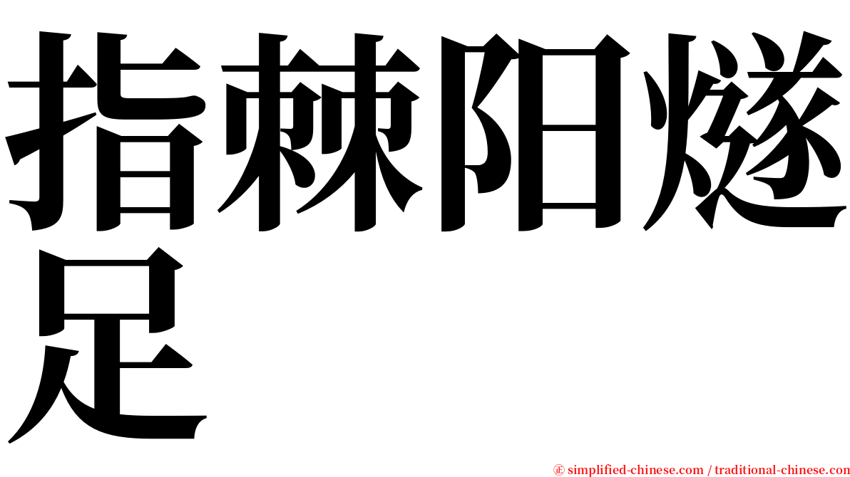 指棘阳燧足 serif font