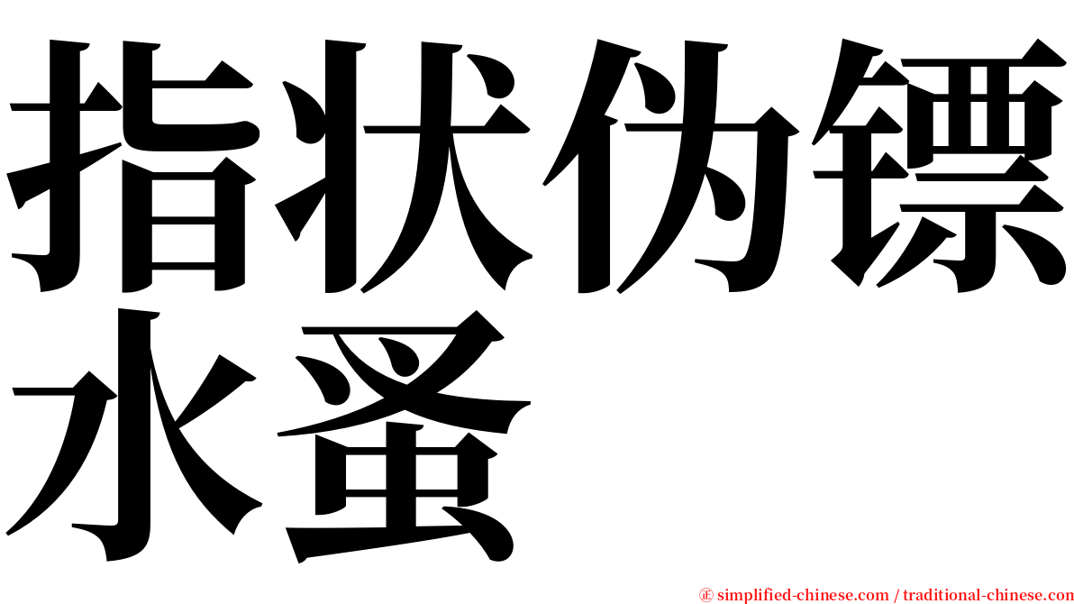 指状伪镖水蚤 serif font