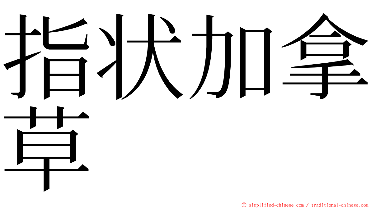 指状加拿草 ming font