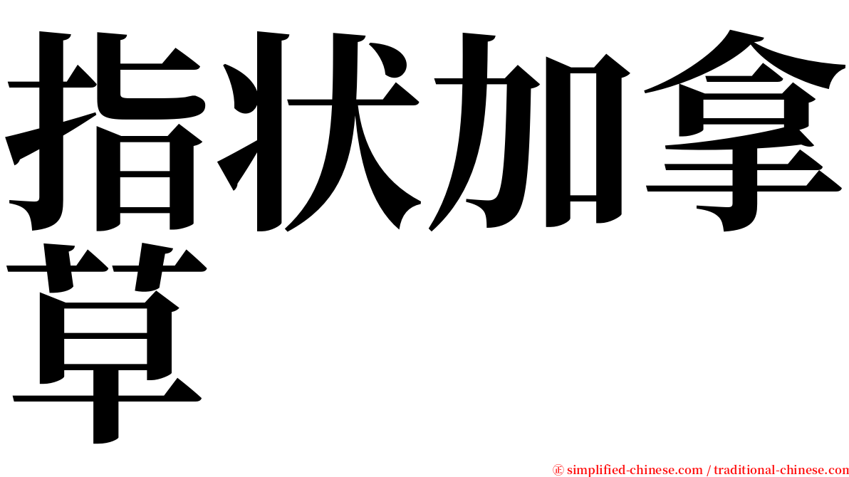 指状加拿草 serif font