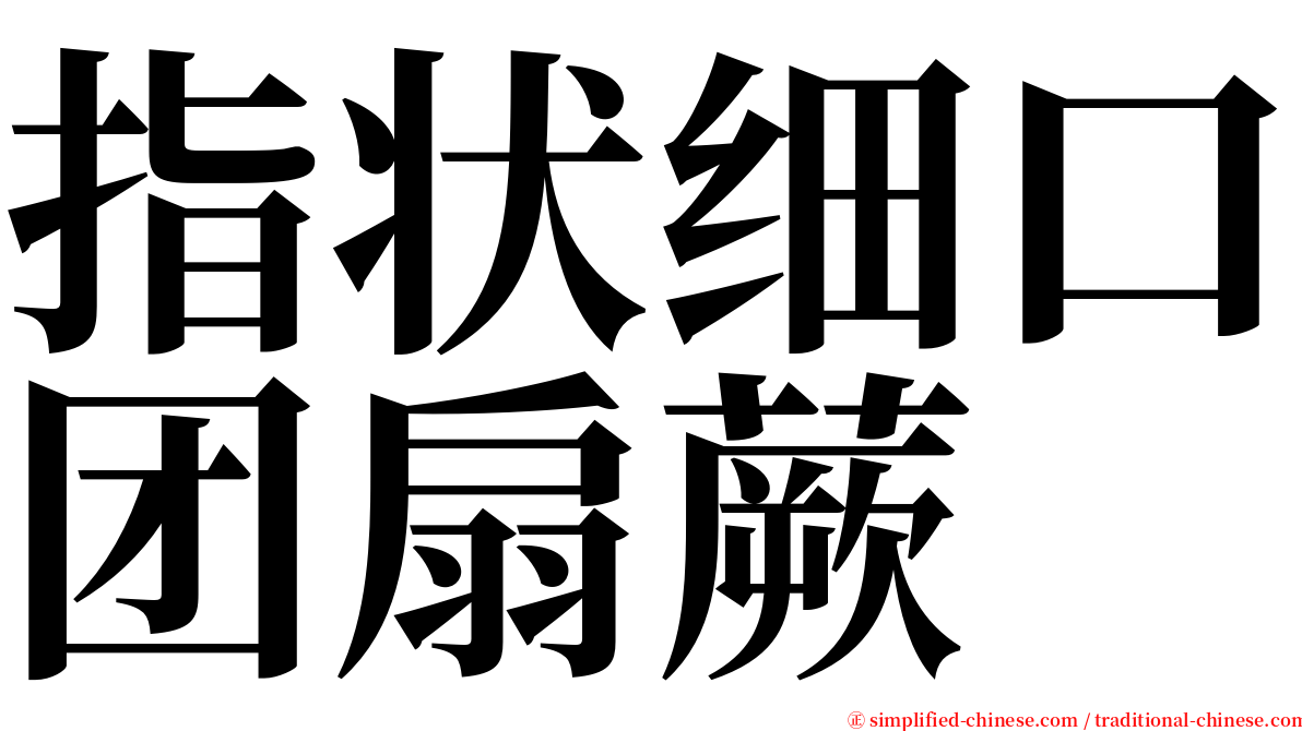 指状细口团扇蕨 serif font
