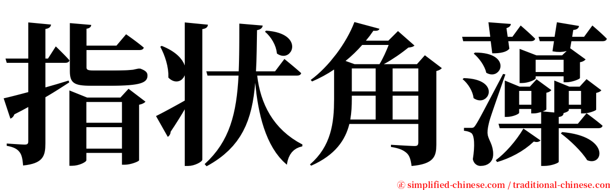 指状角藻 serif font