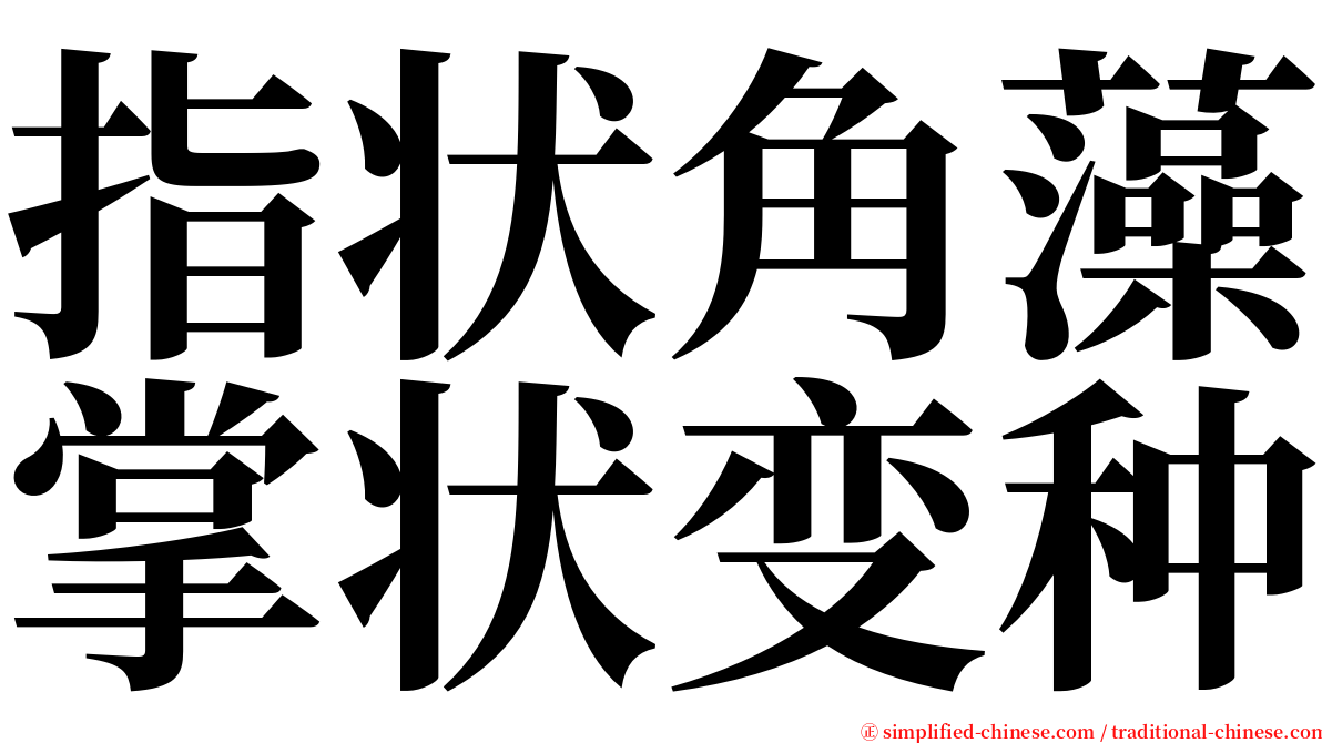 指状角藻掌状变种 serif font