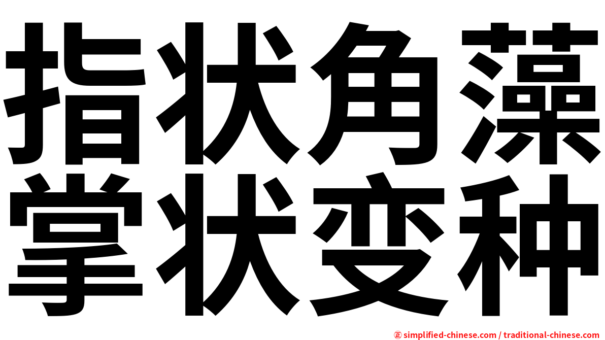 指状角藻掌状变种