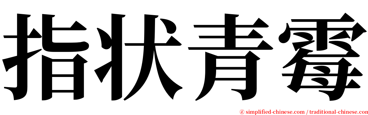 指状青霉 serif font