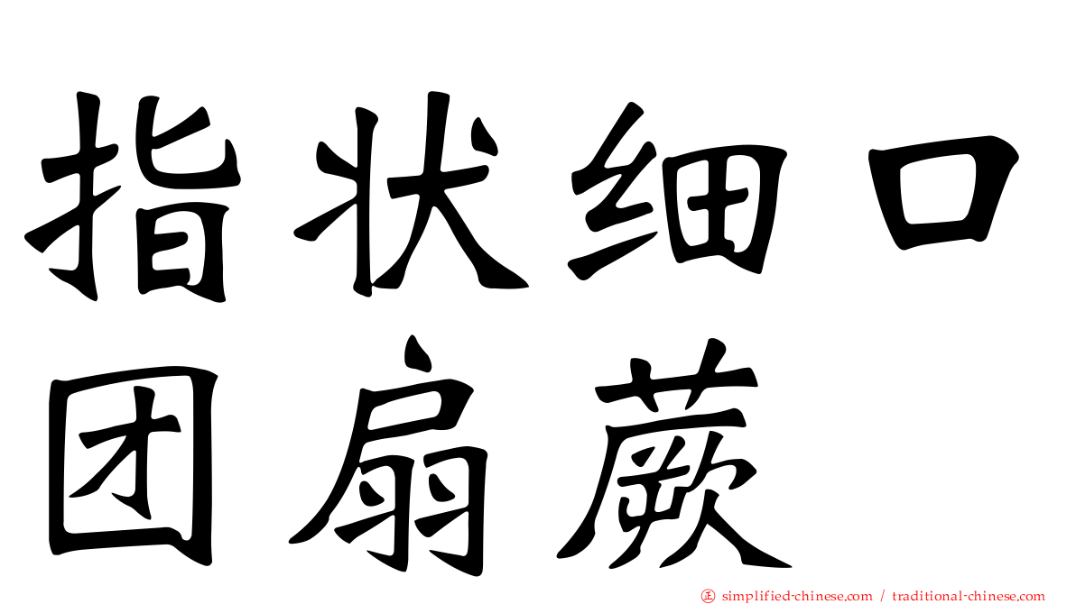 指状细口团扇蕨