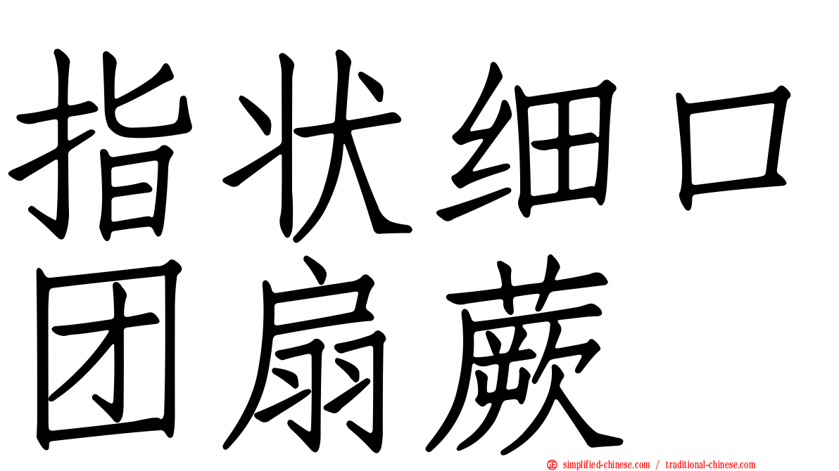 指状细口团扇蕨