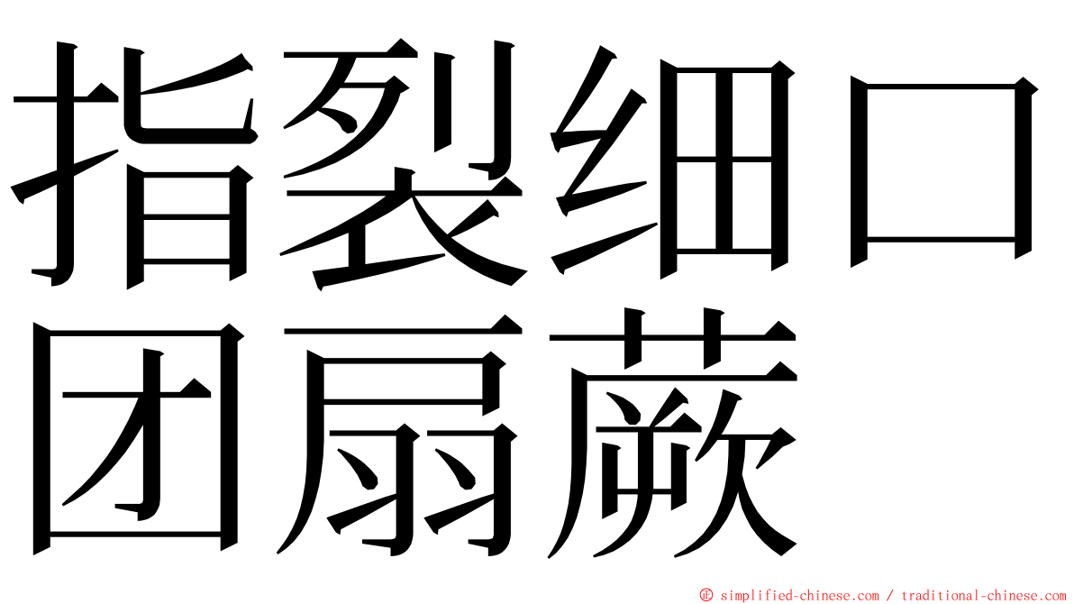 指裂细口团扇蕨 ming font