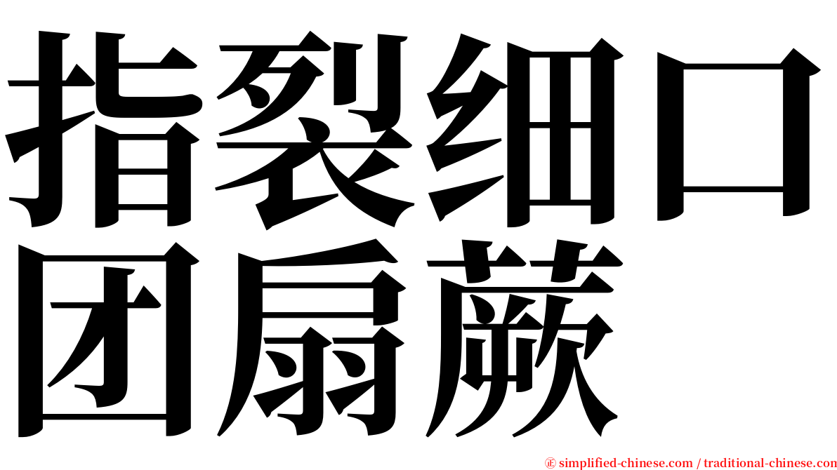 指裂细口团扇蕨 serif font