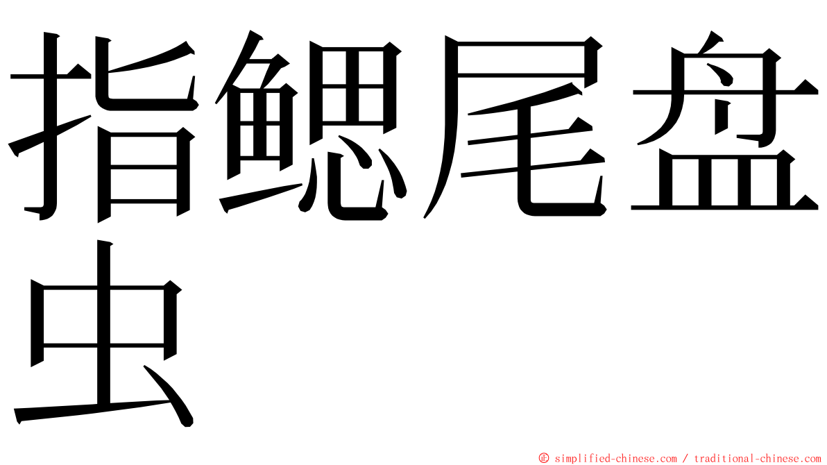 指鳃尾盘虫 ming font