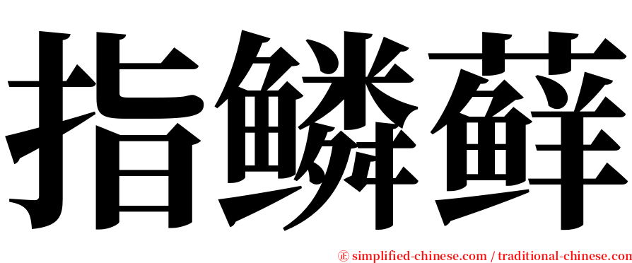 指鳞藓 serif font