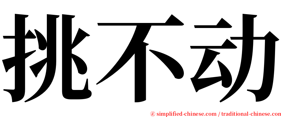 挑不动 serif font