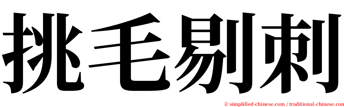 挑毛剔刺 serif font