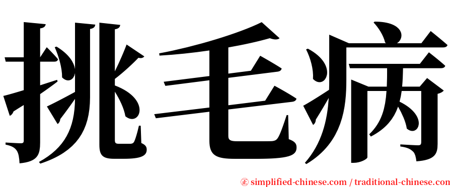 挑毛病 serif font