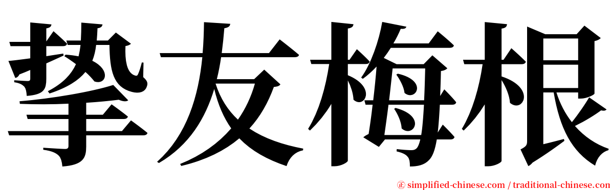 挚友梅根 serif font