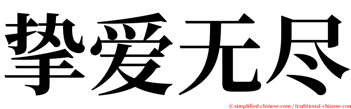 挚爱无尽 serif font