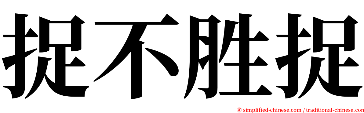 捉不胜捉 serif font