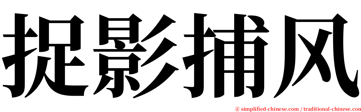 捉影捕风 serif font