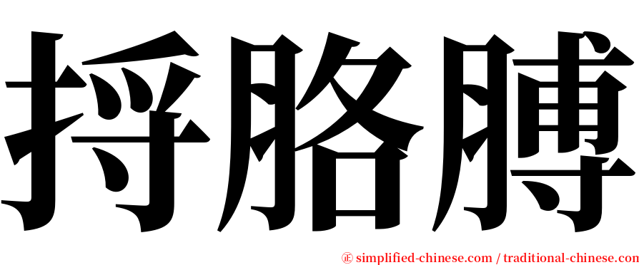 捋胳膊 serif font