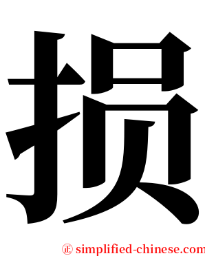 损 serif font