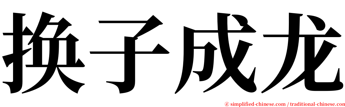 换子成龙 serif font