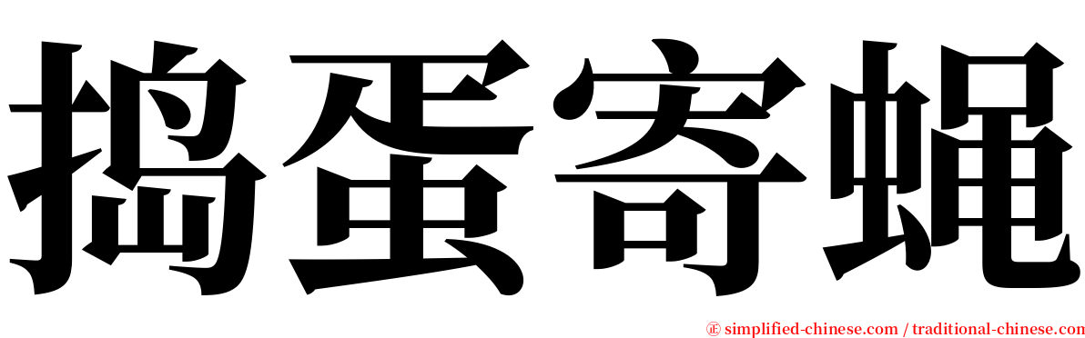 捣蛋寄蝇 serif font