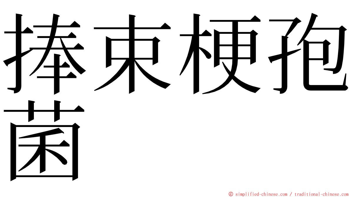 捧束梗孢菌 ming font