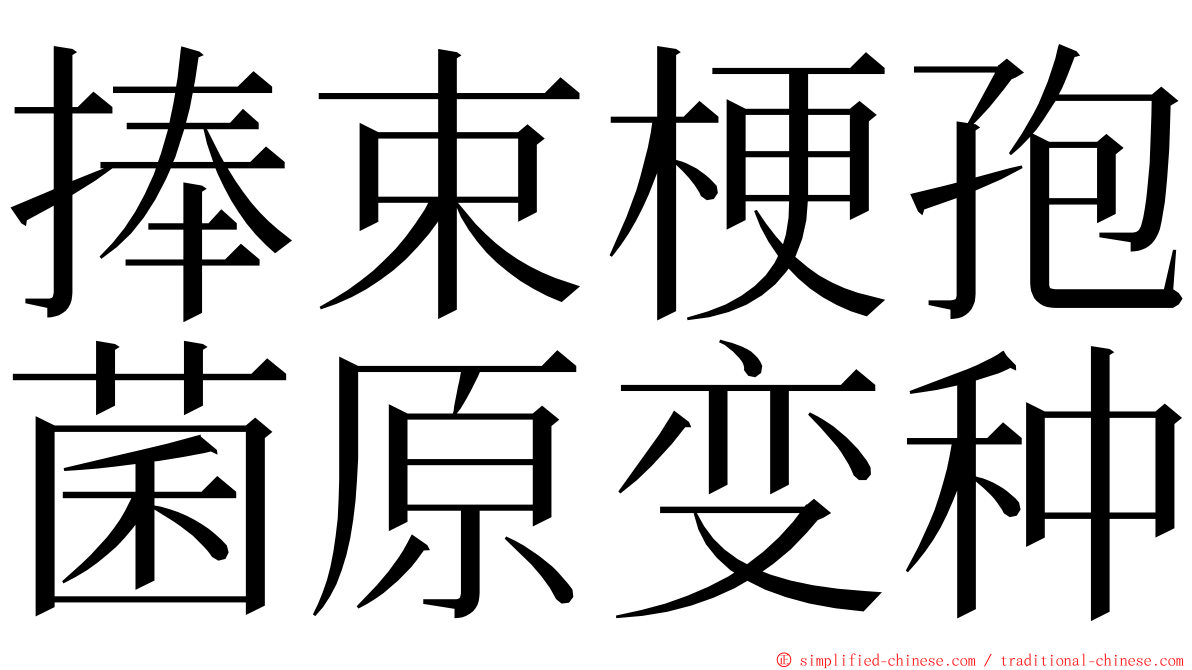 捧束梗孢菌原变种 ming font