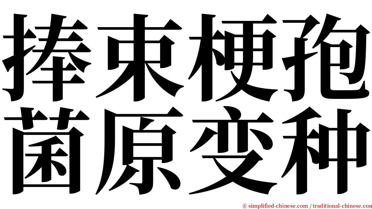 捧束梗孢菌原变种 serif font