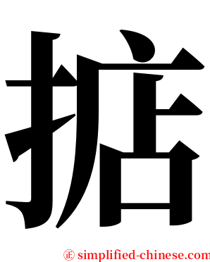 掂 serif font