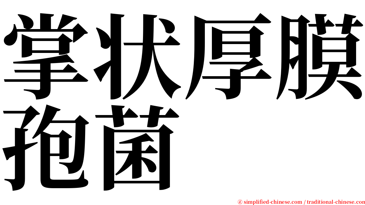 掌状厚膜孢菌 serif font