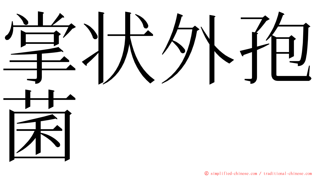 掌状外孢菌 ming font
