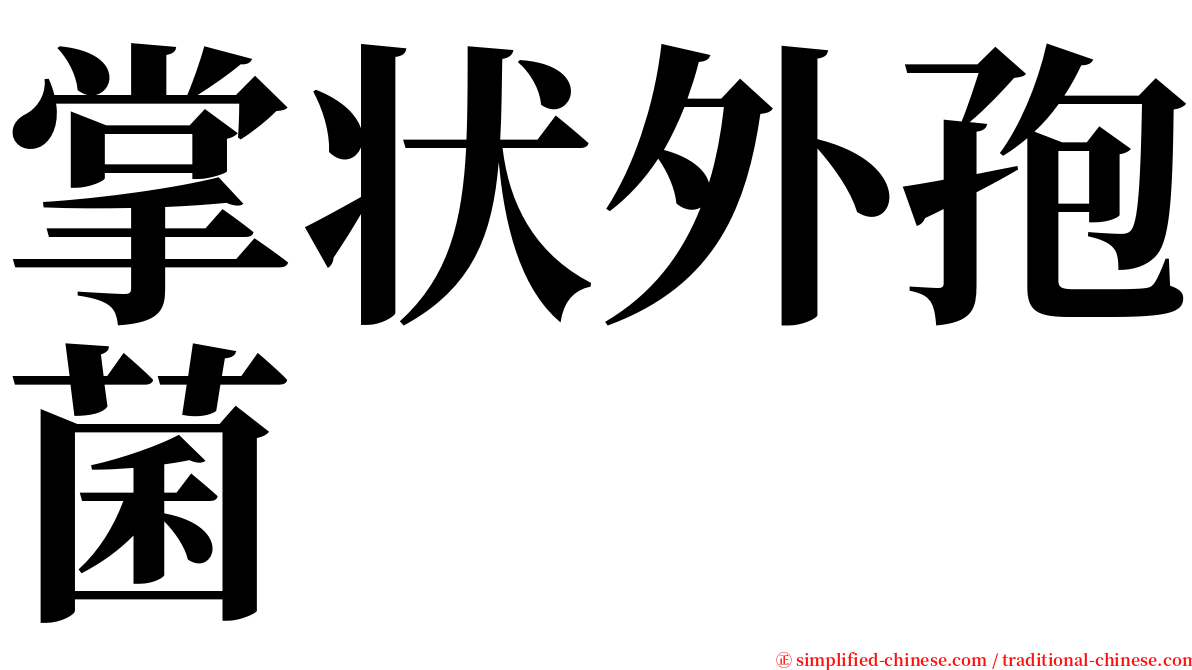 掌状外孢菌 serif font