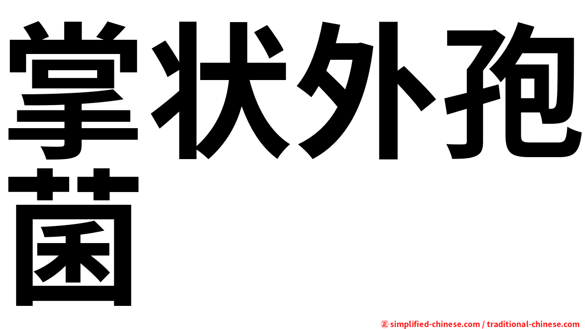 掌状外孢菌