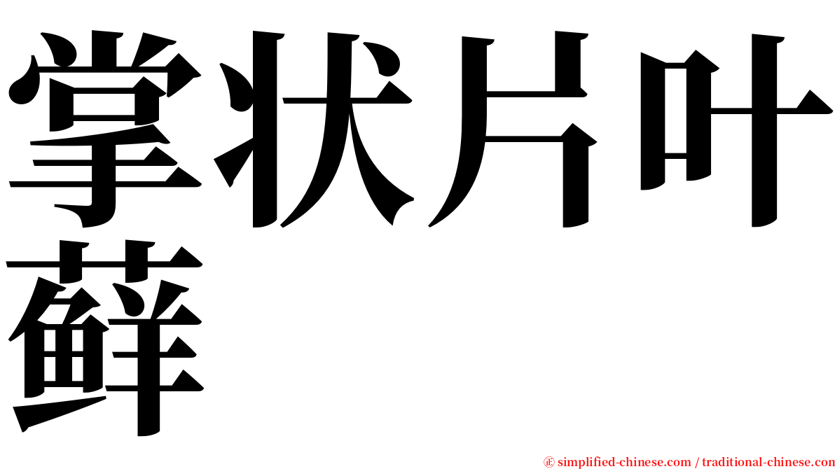 掌状片叶藓 serif font