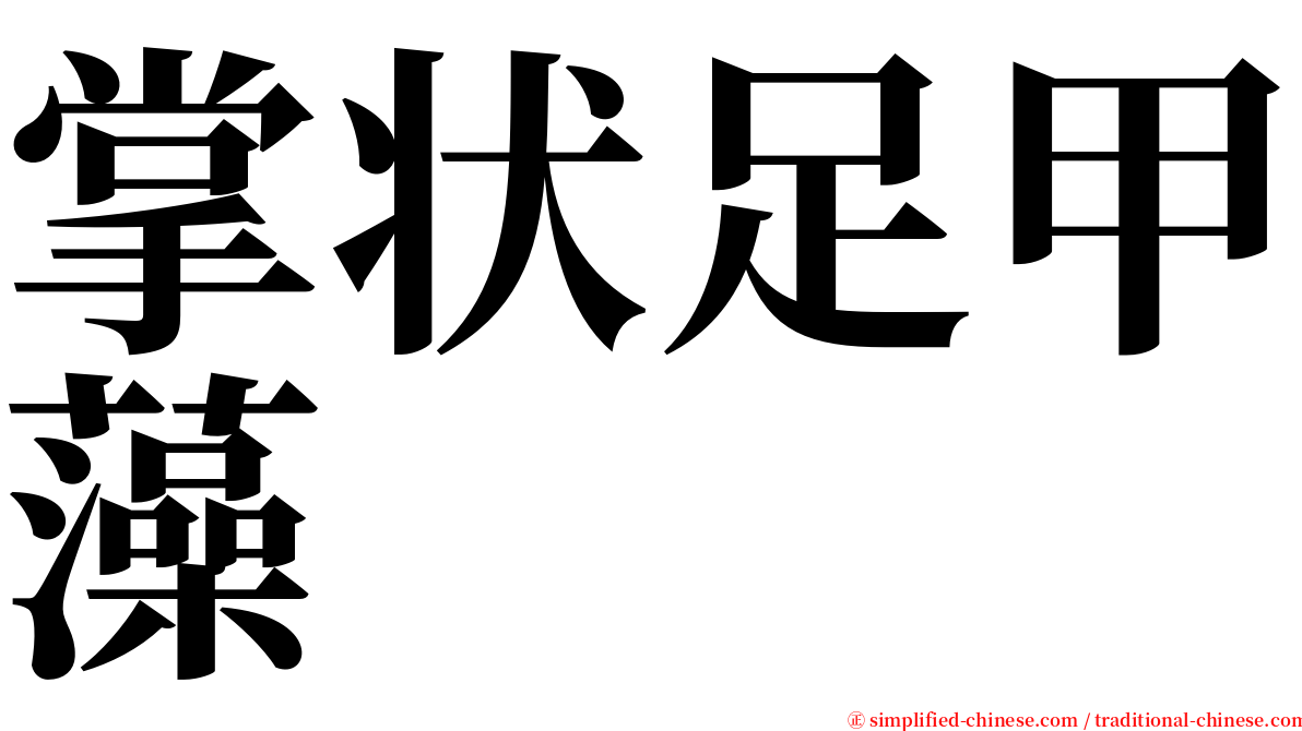 掌状足甲藻 serif font