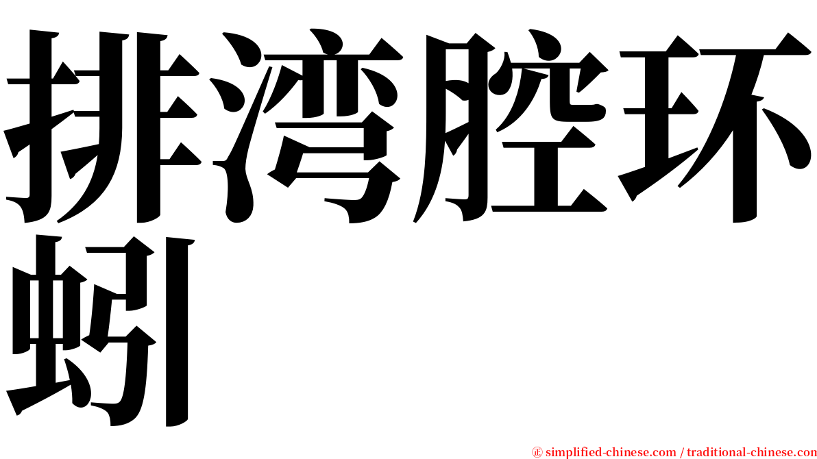 排湾腔环蚓 serif font