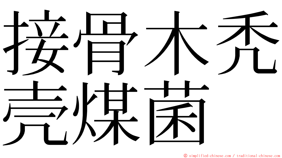 接骨木秃壳煤菌 ming font