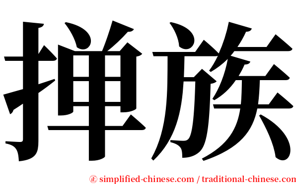 掸族 serif font