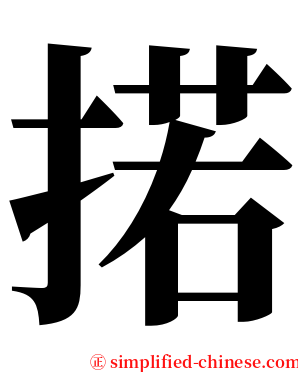 掿 serif font