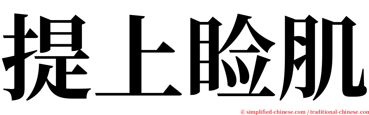 提上睑肌 serif font