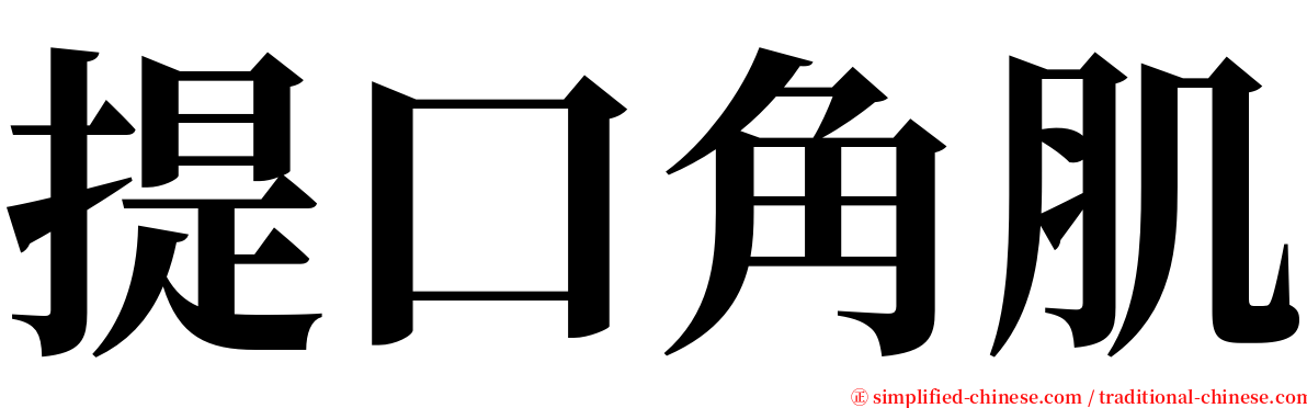 提口角肌 serif font