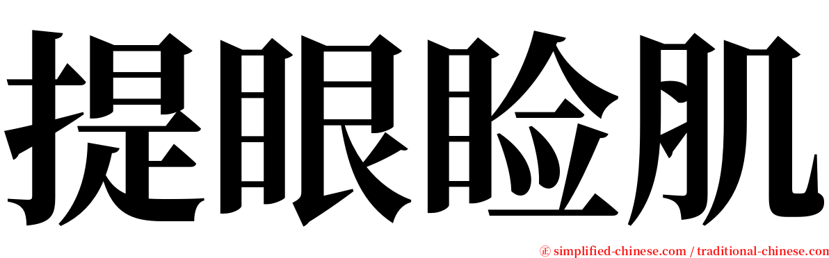 提眼睑肌 serif font